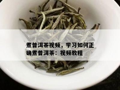 煮普洱茶视频，学习如何正确煮普洱茶：视频教程