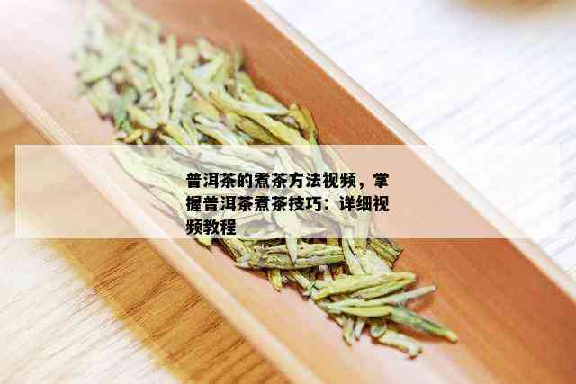 普洱茶的煮茶方法视频，掌握普洱茶煮茶技巧：详细视频教程