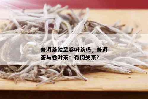 普洱茶就是卷叶茶吗，普洱茶与卷叶茶：有何关系？