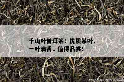 千山叶普洱茶：优质茶叶，一叶清香，值得品尝！