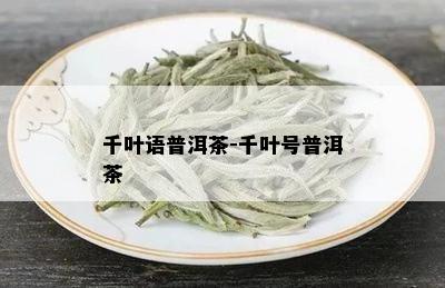 千叶语普洱茶-千叶号普洱茶