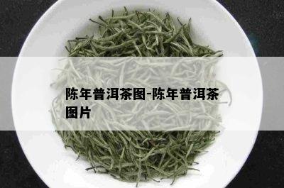 陈年普洱茶图-陈年普洱茶图片