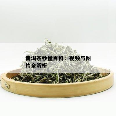 普洱茶秒懂百科：视频与图片全解析