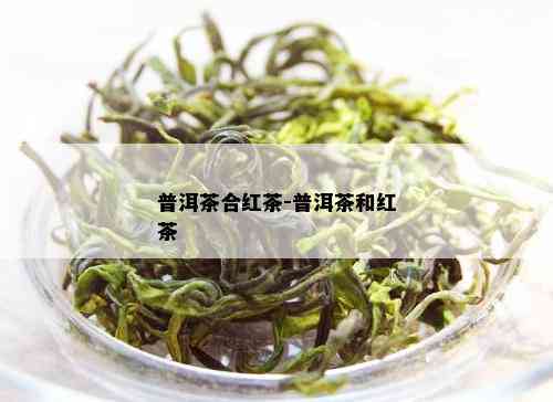 普洱茶合红茶-普洱茶和红茶