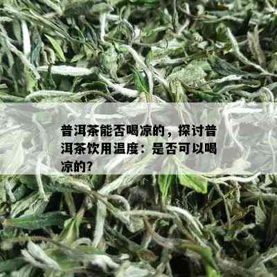 普洱茶能否喝凉的，探讨普洱茶饮用温度：是否可以喝凉的？