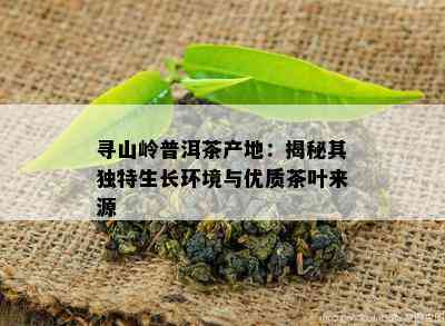 寻山岭普洱茶产地：揭秘其独特生长环境与优质茶叶来源