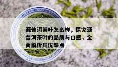 源普洱茶叶怎么样，探究源普洱茶叶的品质与口感，全面解析其优缺点