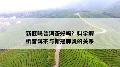 新冠喝普洱茶好吗？科学解析普洱茶与新冠肺炎的关系