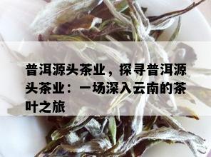 普洱源头茶业，探寻普洱源头茶业：一场深入云南的茶叶之旅