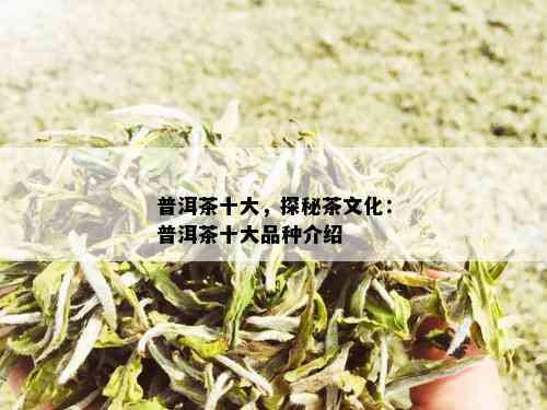 普洱茶十大，探秘茶文化：普洱茶十大品种介绍