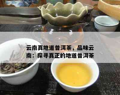 云南真地道普洱茶，品味云南：探寻真正的地道普洱茶