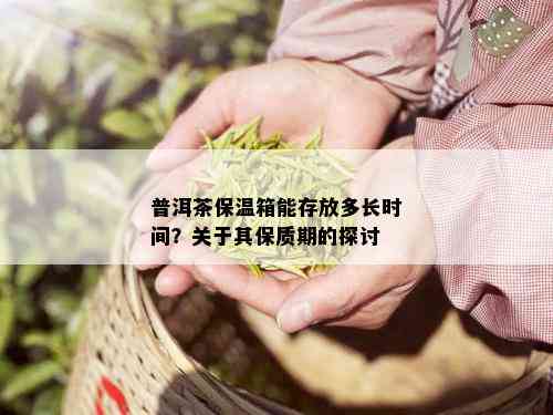 普洱茶保温箱能存放多长时间？关于其保质期的探讨