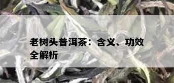 老树头普洱茶：含义、功效全解析