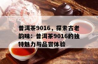 普洱茶9016，探索古老韵味：普洱茶9016的独特魅力与品尝体验