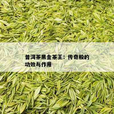 普洱茶黑金茶王：传奇般的功效与作用