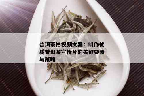 普洱茶拍视频文案：制作优质普洱茶宣传片的关键要素与策略