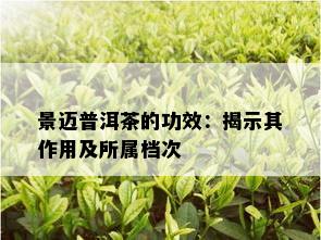 景迈普洱茶的功效：揭示其作用及所属档次