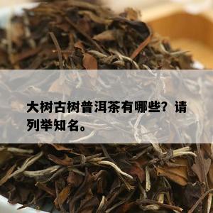 大树古树普洱茶有哪些？请列举知名。