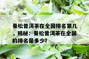 曼松普洱茶在全国排名第几，揭秘：曼松普洱茶在全国的排名是多少？