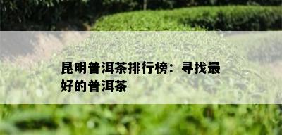 昆明普洱茶排行榜：寻找更好的普洱茶