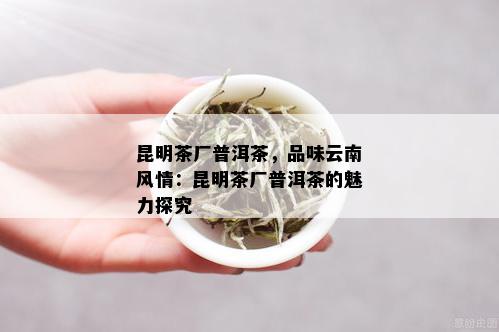 昆明茶厂普洱茶，品味云南风情：昆明茶厂普洱茶的魅力探究