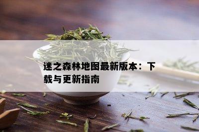 迷之森林地图最新版本：下载与更新指南