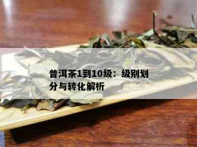 普洱茶1到10级：级别划分与转化解析