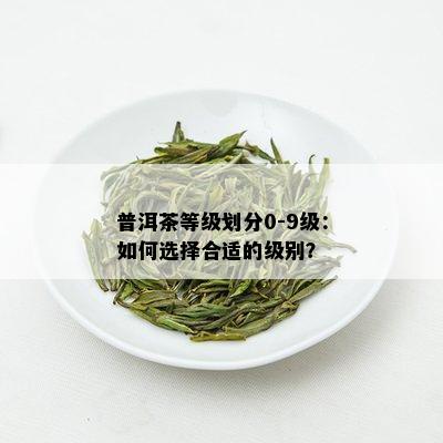 普洱茶等级划分0-9级：如何选择合适的级别？