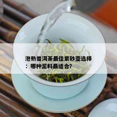 泡熟普洱茶更佳紫砂壶选择：哪种泥料最适合？