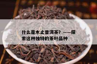 什么是木止普洱茶？——探索这种独特的茶叶品种