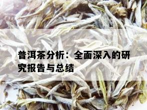 普洱茶分析：全面深入的研究报告与总结