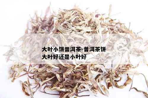 大叶小饼普洱茶-普洱茶饼大叶好还是小叶好