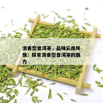 清香型普洱茶，品味云南风情：探索清香型普洱茶的魅力