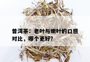 普洱茶：老叶与嫩叶的口感对比，哪个更好？