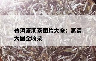 普洱茶沏茶图片大全：高清大图全收录