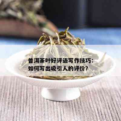 普洱茶叶好评语写作技巧：如何写出吸引人的评价？