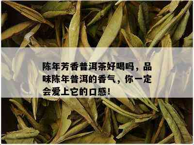 陈年芳香普洱茶好喝吗，品味陈年普洱的香气，你一定会爱上它的口感！