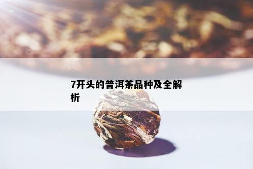 7开头的普洱茶品种及全解析