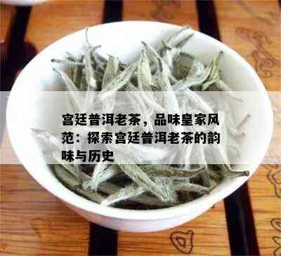 宫廷普洱老茶，品味皇家风范：探索宫廷普洱老茶的韵味与历史