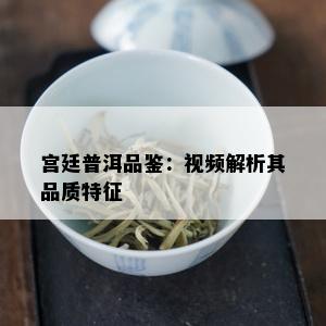 宫廷普洱品鉴：视频解析其品质特征