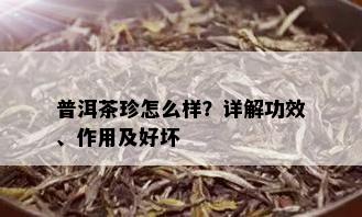 普洱茶珍怎么样？详解功效、作用及好坏