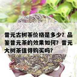 昔元古树茶价格是多少？品鉴昔元茶的效果如何？昔元大树茶值得购买吗？