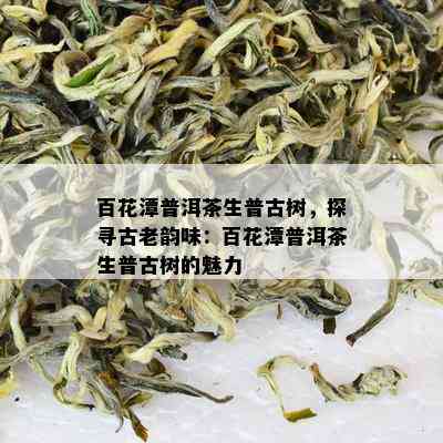 百花潭普洱茶生普古树，探寻古老韵味：百花潭普洱茶生普古树的魅力