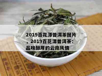 2019百花潭普洱茶图片，2019百花潭普洱茶：品味醇厚的云南风情