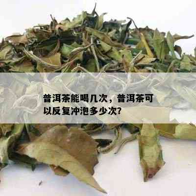 普洱茶能喝几次，普洱茶可以反复冲泡多少次？