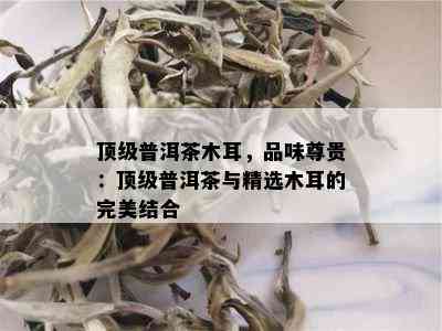 顶级普洱茶木耳，品味尊贵：顶级普洱茶与精选木耳的完美结合