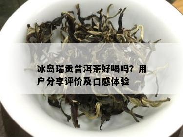 冰岛瑞贡普洱茶好喝吗？用户分享评价及口感体验