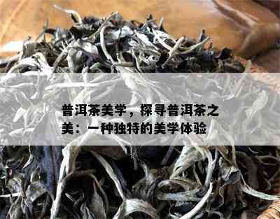 普洱茶美学，探寻普洱茶之美：一种独特的美学体验