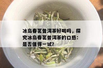 冰岛春茗普洱茶好喝吗，探究冰岛春茗普洱茶的口感：是否值得一试？