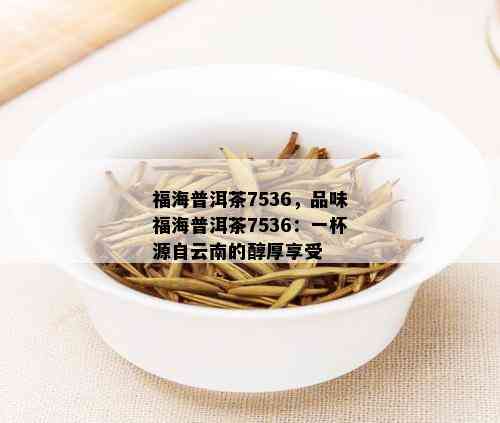 福海普洱茶7536，品味福海普洱茶7536：一杯源自云南的醇厚享受